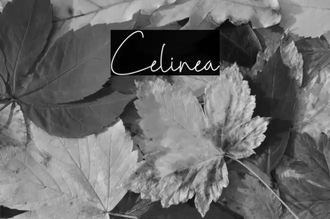 Celinea Font examples
