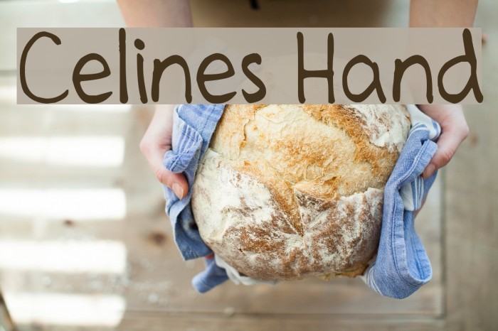Celines Hand Font examples