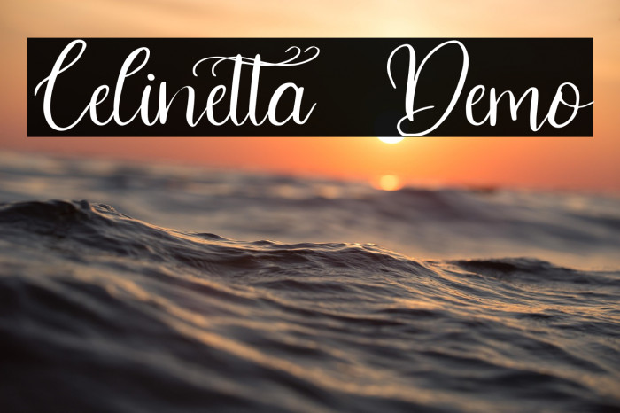 Celinetta - Demo Example 1