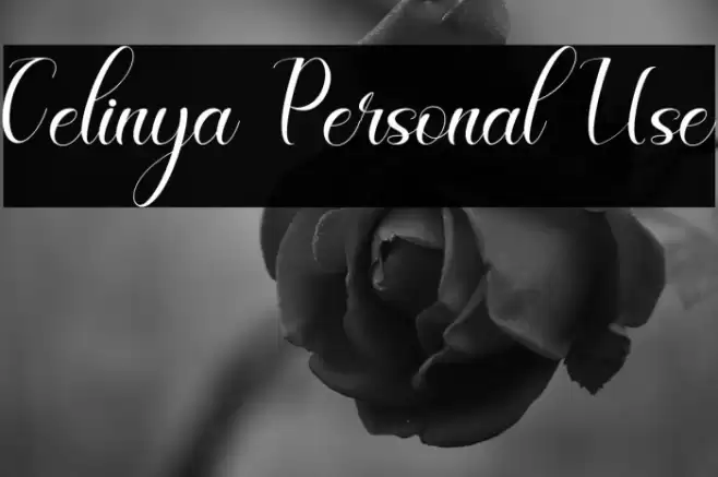 Celinya Personal Use Font examples