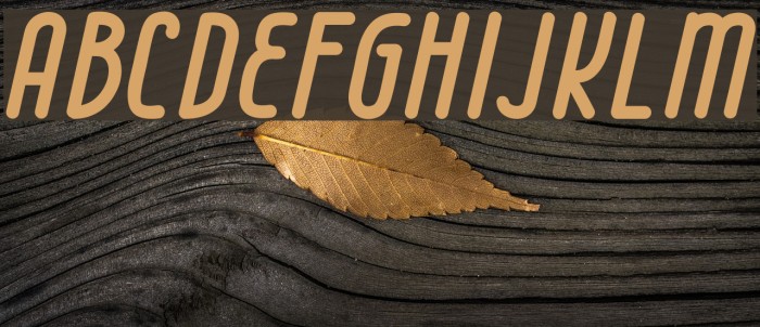Cell 63 Font examples