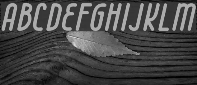 Cell 63 Font examples