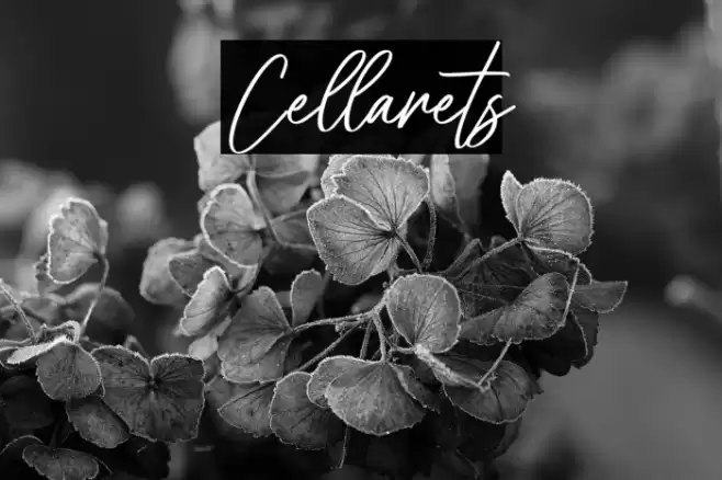 Cellarets Font examples
