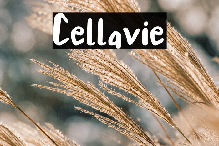 Cellavie Example 3