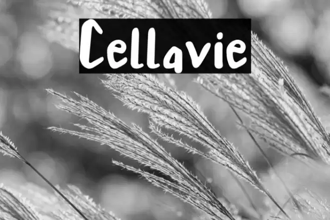 Cellavie Font examples