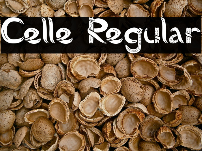 Celle Regular Polices examples