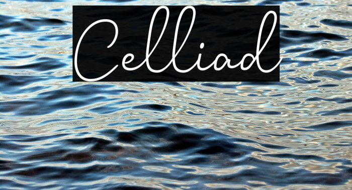 Celliad Example 1