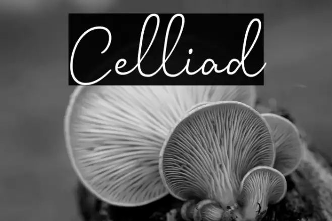 Celliad Font examples
