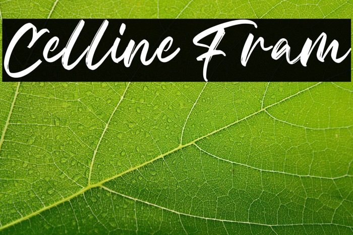 Celline Fram Example 2