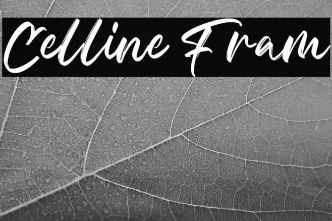 Celline Fram Font examples