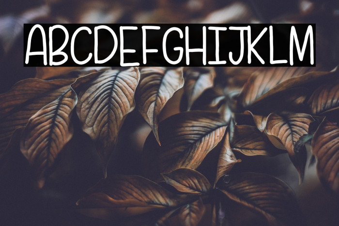 CellineHeylie Example 1