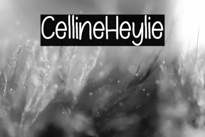CellineHeylie Font examples