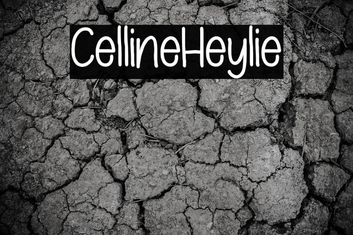 CellineHeylie Example 2