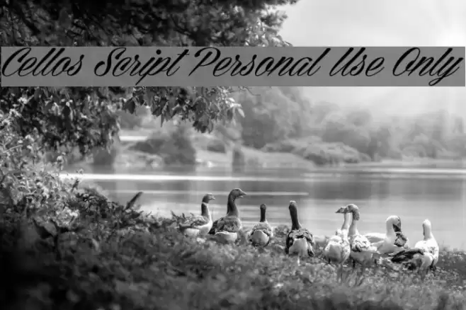 Cellos Script Personal Use Only Font examples