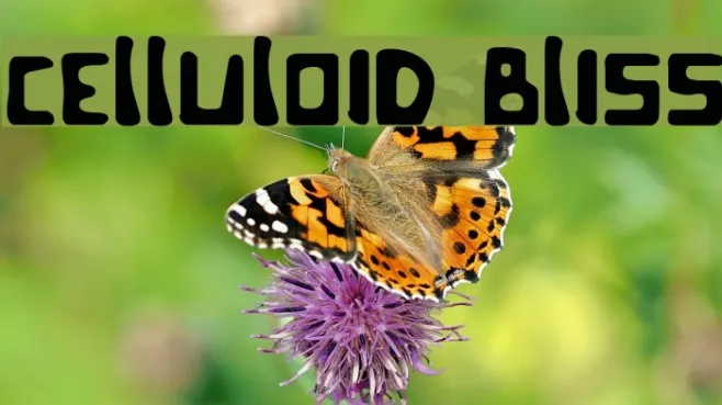 Celluloid Bliss Example 1