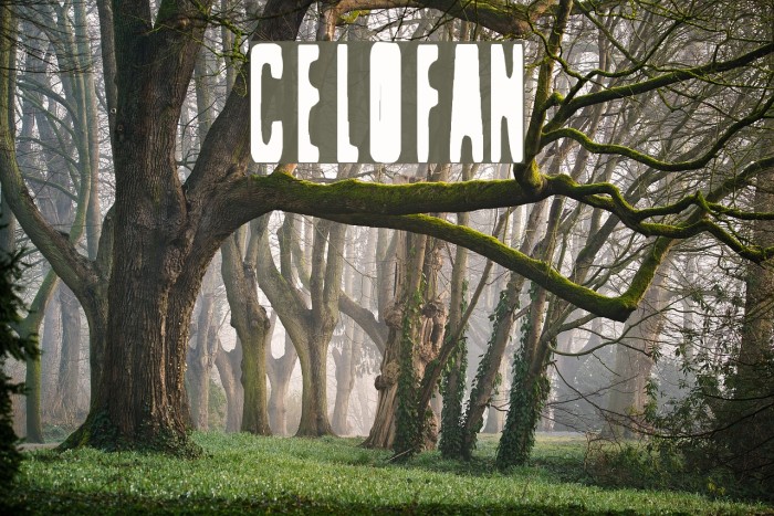 Celofan Font examples
