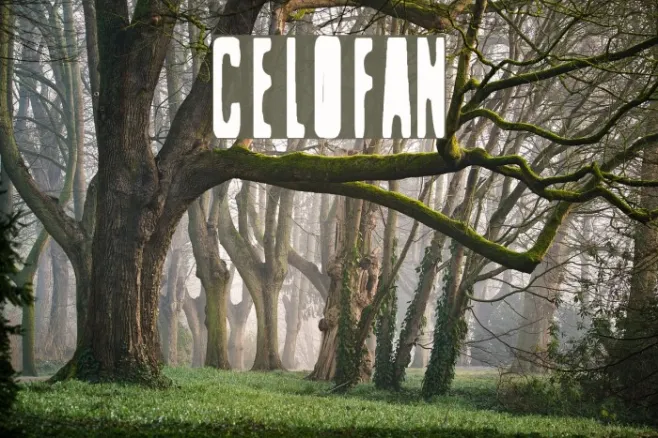 Celofan Example 2