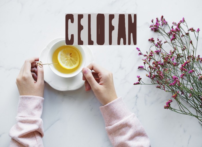 Celofan Font examples