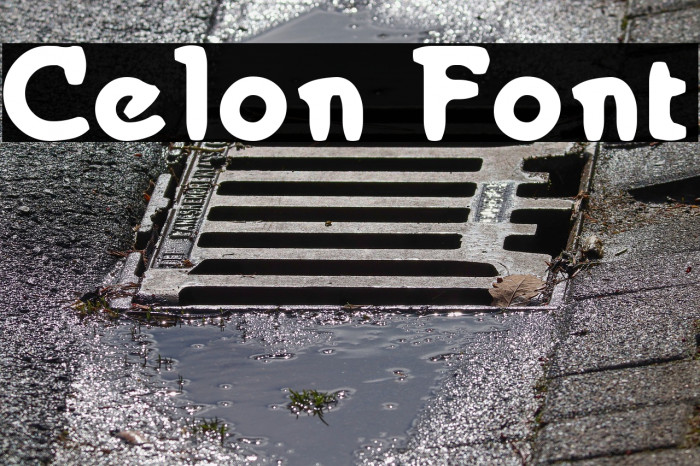 Celon Font examples