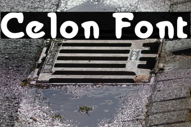 Celon Example 1