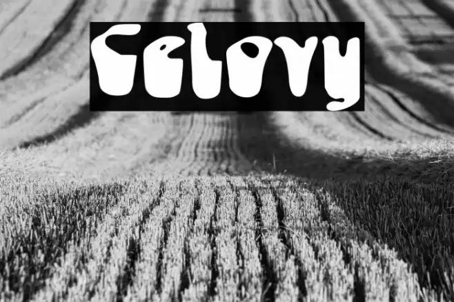 Celovy Font examples