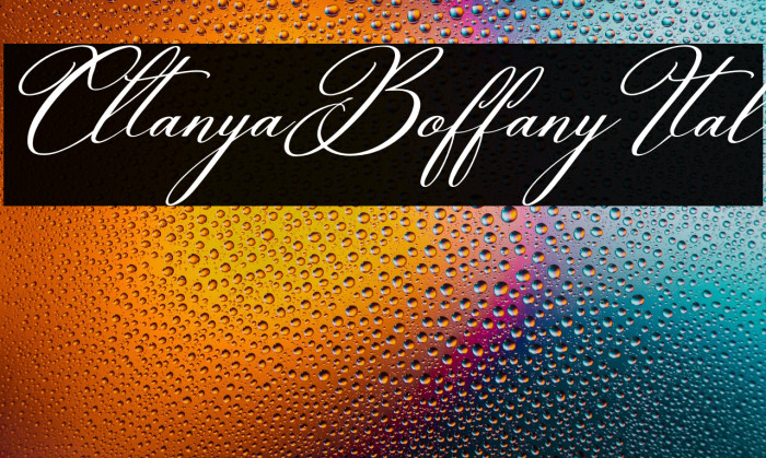Celtaniya Bioffany Italic Example 1