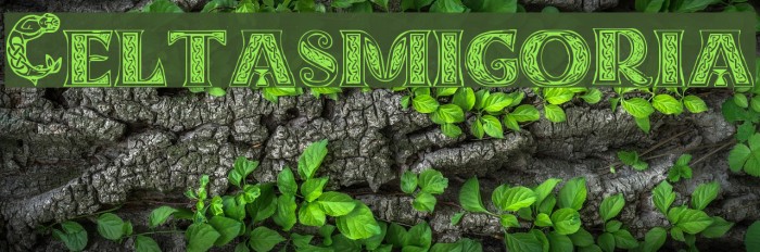 Celtasmigoria Font examples