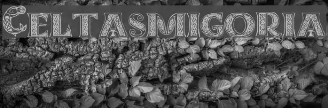 Celtasmigoria フォント examples