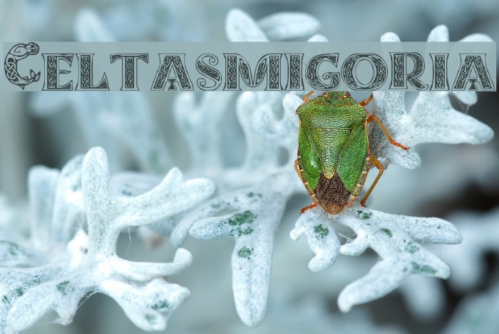 Celtasmigoria Font examples