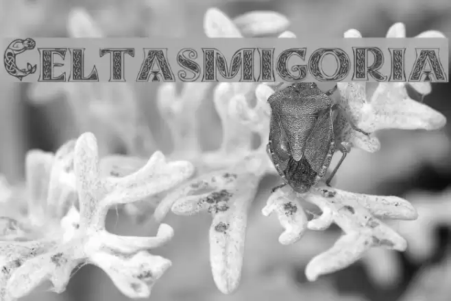 Celtasmigoria フォント examples