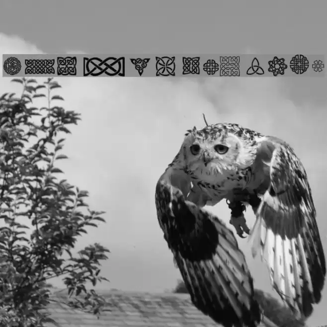 CeltiCons Font examples