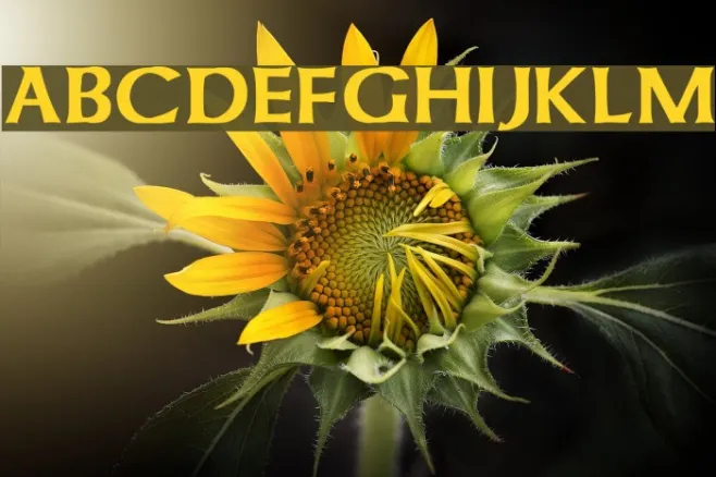 Celtic Bold Example 1