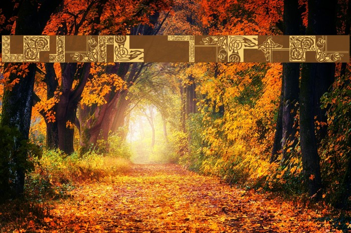 Celtic Frames Example 2