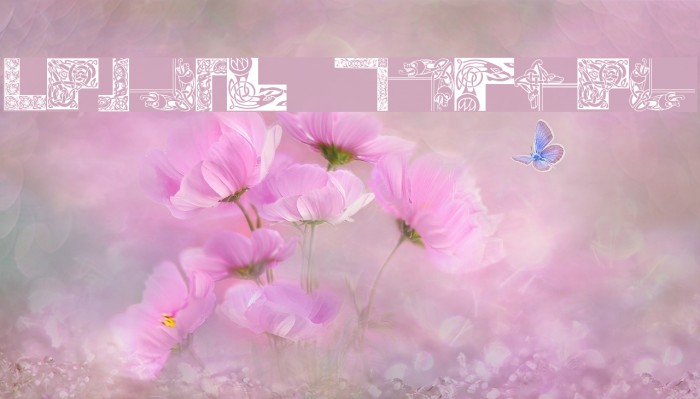 Celtic Frames Example 3