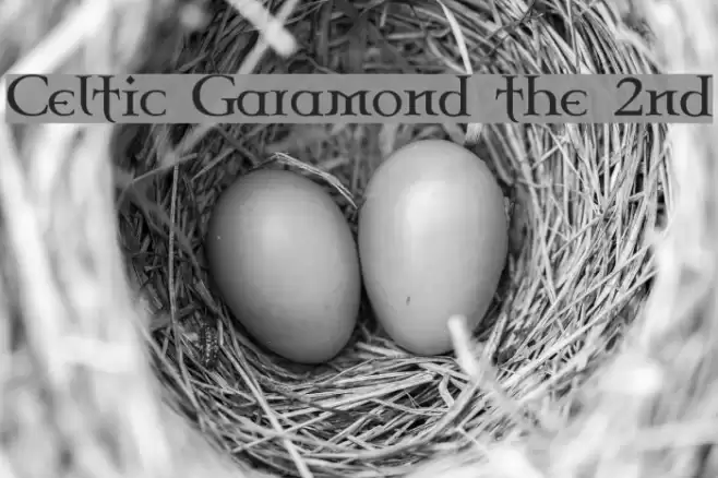 Celtic Garamond the 2nd Font examples