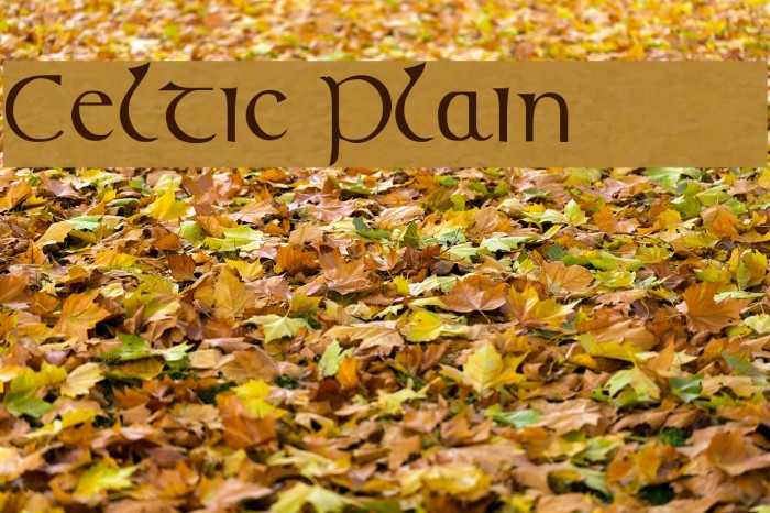 Celtic [Plain]:001.001 Example 2
