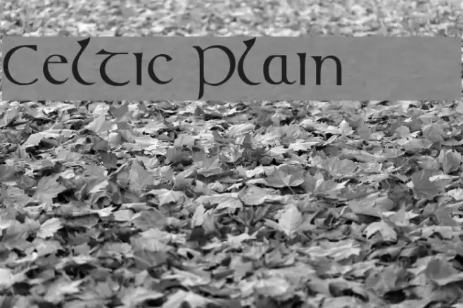 Celtic [Plain]:001.001 Font examples