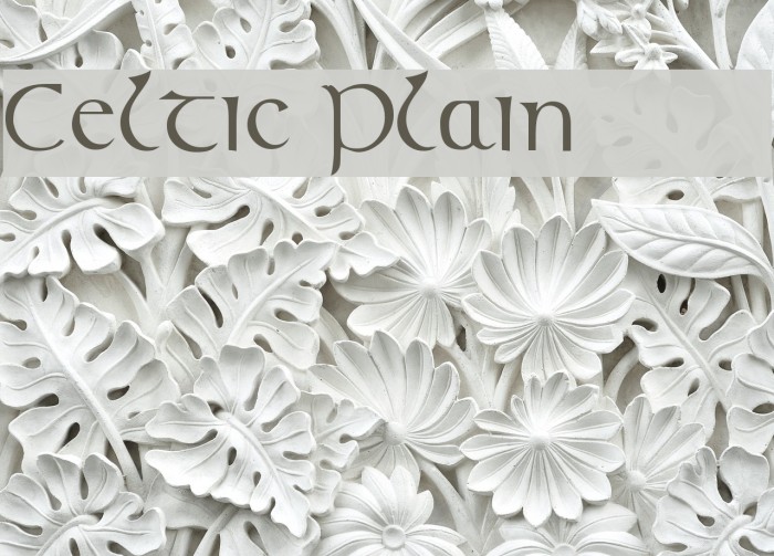 Celtic [Plain]:001.001 Example 3