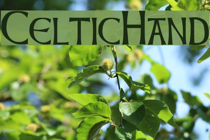 CelticHand Font examples
