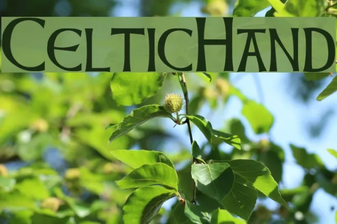 CelticHand Example 1