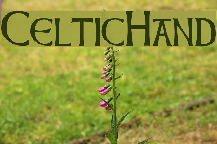 CelticHand Font examples