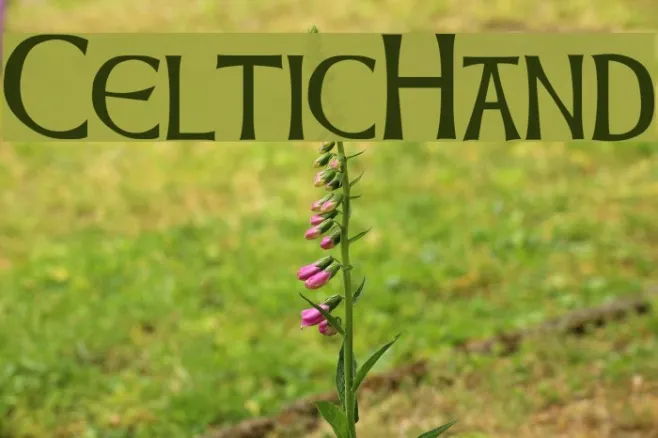 CelticHand Example 3