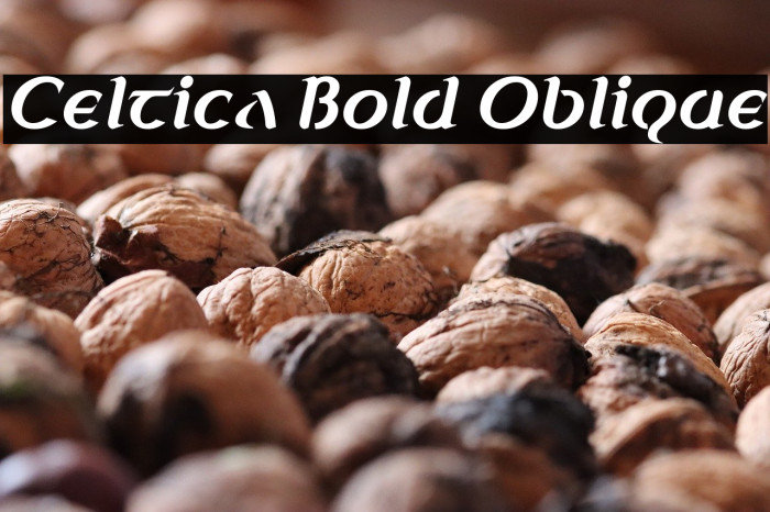 Celtica Bold Oblique Example 2