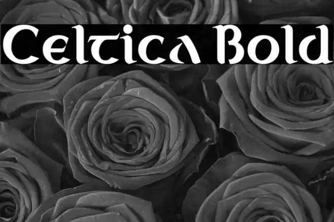 Celtica Bold Font examples