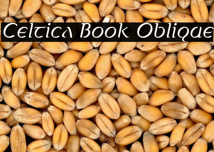 Celtica Book Oblique Example 3