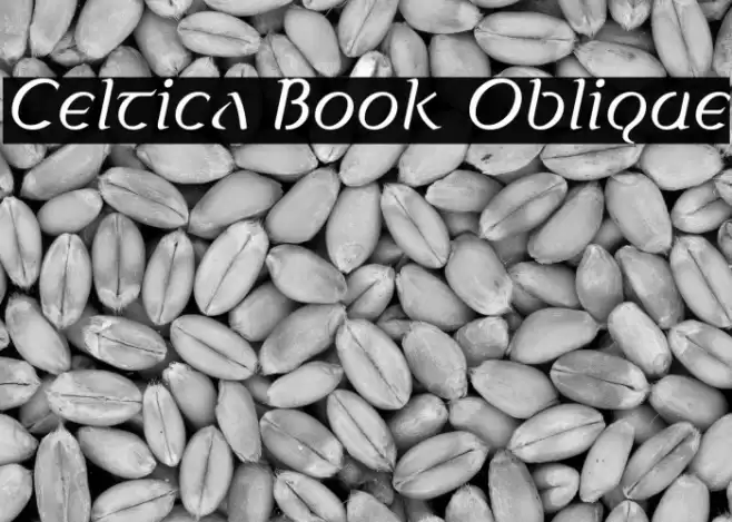 Celtica Book Oblique Polices examples