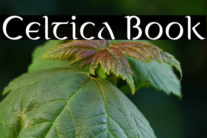 Celtica Book Example 1