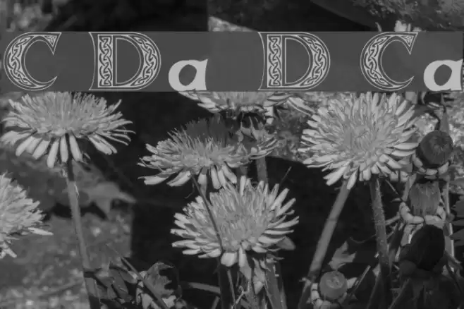 Celticmd Decorative w Drop Caps Font examples