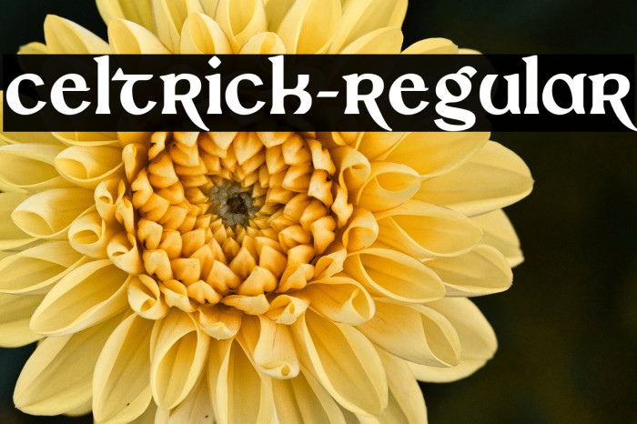 Celtrick-Regular Example 2