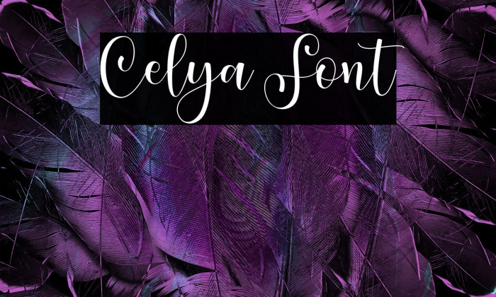 Celya Example 2